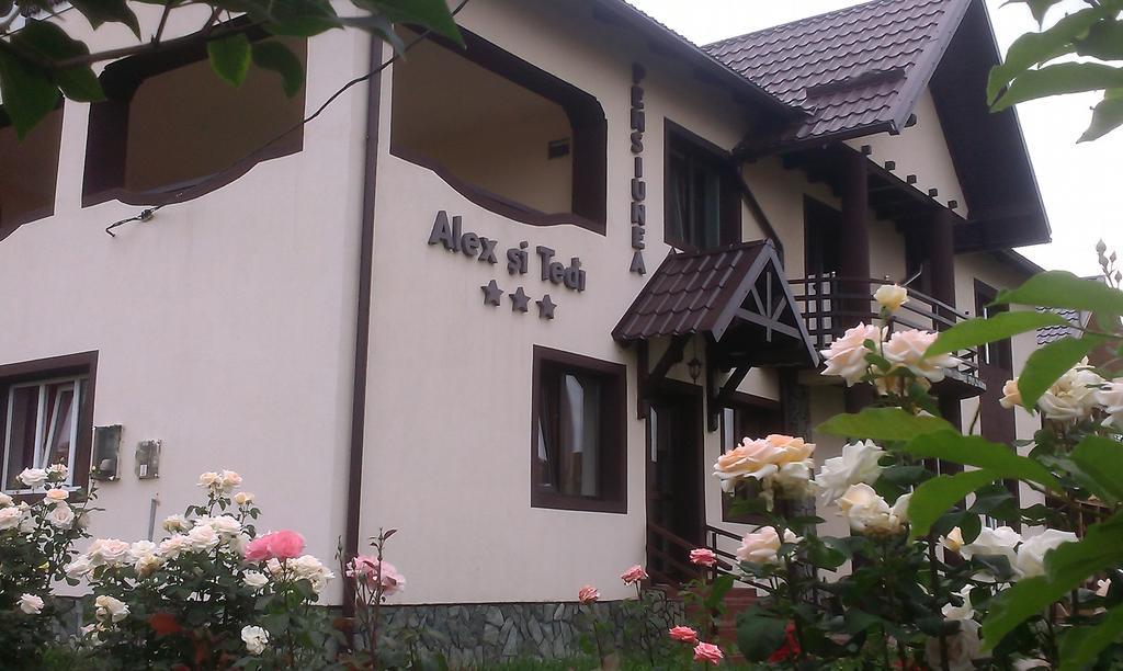 Pensiunea Alex Si Tedi Horezu Exteriör bild