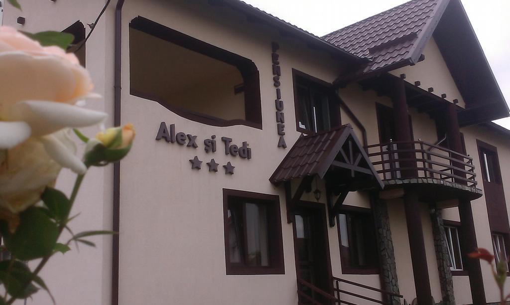 Pensiunea Alex Si Tedi Horezu Exteriör bild